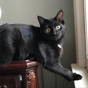 Meet your Posher, Martha virginia